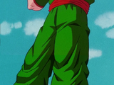 Tien Shinhan