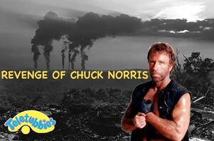 Revenge of chuck Norris