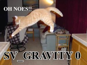 Gravity Cat