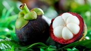 Mangosteen 625x350 51464952377