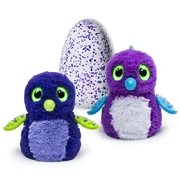 Hatchimals draggle