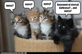 basement cat souls