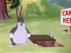 The birth of Big Chungus.