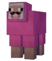 Pink Sheep