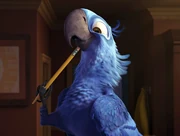 What the heck is he doing?