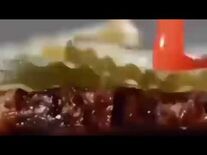 Burger_King-_The_brand_new_burger_you_can_f-