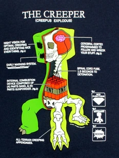 Creeper Anatomy