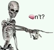 '"`UNIQ--nowiki-00000000-QINU`"'n't?