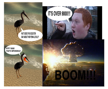 OVER900lulz