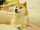 Doge