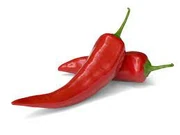 THIS IS CHILLI NOT PEPPER  (Or is it a chili-pepper?)