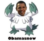 Obamasnow