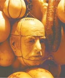 Cheese Irwin's Head in a cheese locker