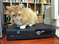 This CD-i is about to get ANNIHILATED by .