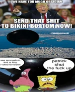 the bikini bottom incident