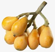 A6dbe17028ea1c683c1682b735cba528