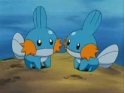 Mudkip-_The_Insane_Edition
