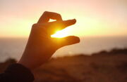 Oobi hand puppet sunset