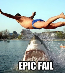 Defeatables fighting eachother and losing, the guy's going to die and the shark is going to jail