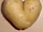 Potato