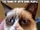 Grumpy Cat