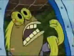 Tom's signature photograph.