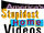 America's Stupidest Home Videos