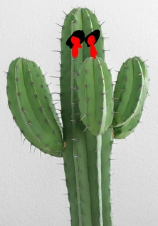 The Cactus of DOOOOOOOOOOOOOOOOOOOOOOOOOOOOOM!!!!!!!