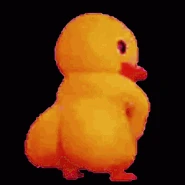 Ducktwerk.gif (1.08 MB)
