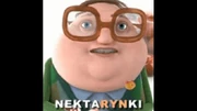 Nektarynki