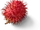 Rambutan
