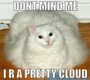 Cloud cat