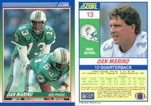 Dolphin dan marino2