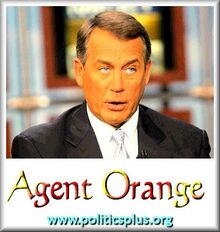 Orangeb.jpg