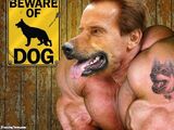 The Doglike-Arnold-Monster