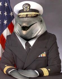 Dolphin commander