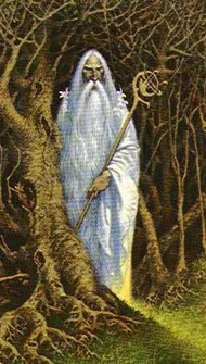 Caerroil Wildwood