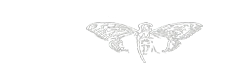 Uncovering-cicada Wiki