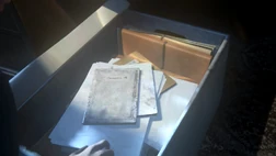 Écrits et œuvres de Cassandra.