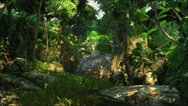 Amazonie