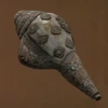 Tibetan Conch Horn