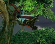 Teile der zerstörten Hog Wild im Baum