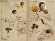 Nathan Drake's journal 2.jpg (341 KB)