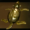 Golden Turtle