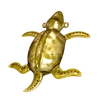 Golden Turtle.png (316 KB) Golden Turtle