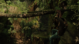 Borneo gameplay 1