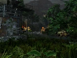 Shanty town