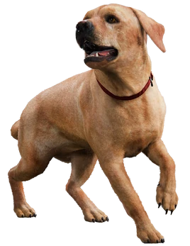 Vicky from A Thief's End