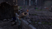 A Train to Catch gameplay 2
