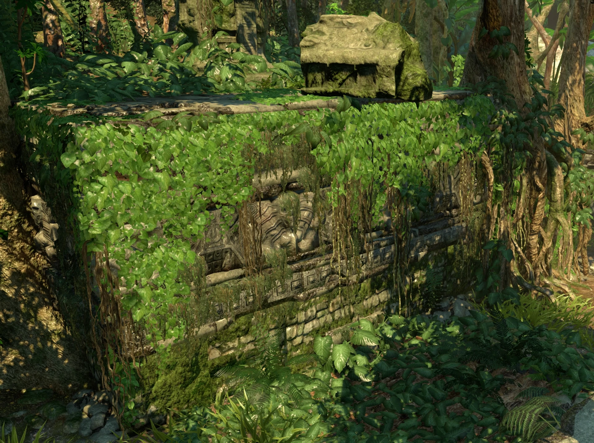 Amazon rainforest | Uncharted Wiki | Fandom